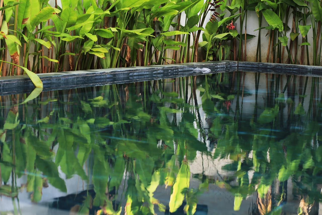 The Bau Bi Retreat Apartment Hội An Ngoại thất bức ảnh